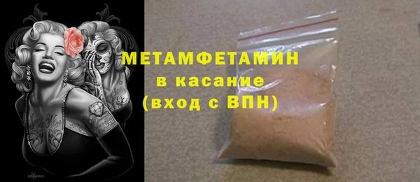 прущие грибы Вяземский