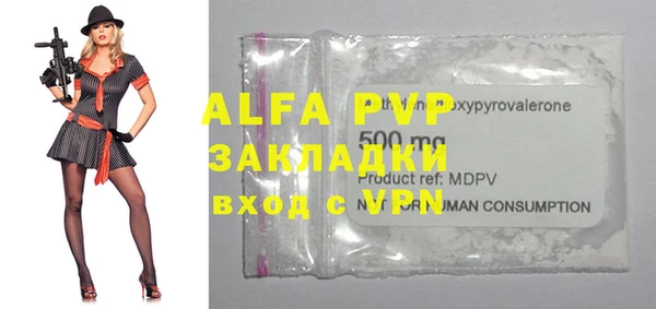 прущие грибы Вяземский
