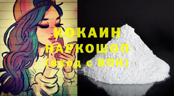 прущие грибы Вяземский