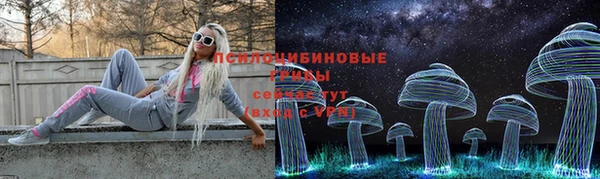 2c-b Волосово