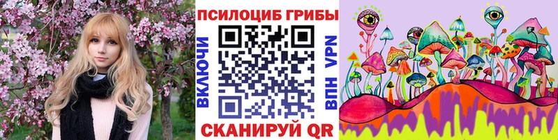 Псилоцибиновые грибы Psilocybe  Купить закладки  Лиски 